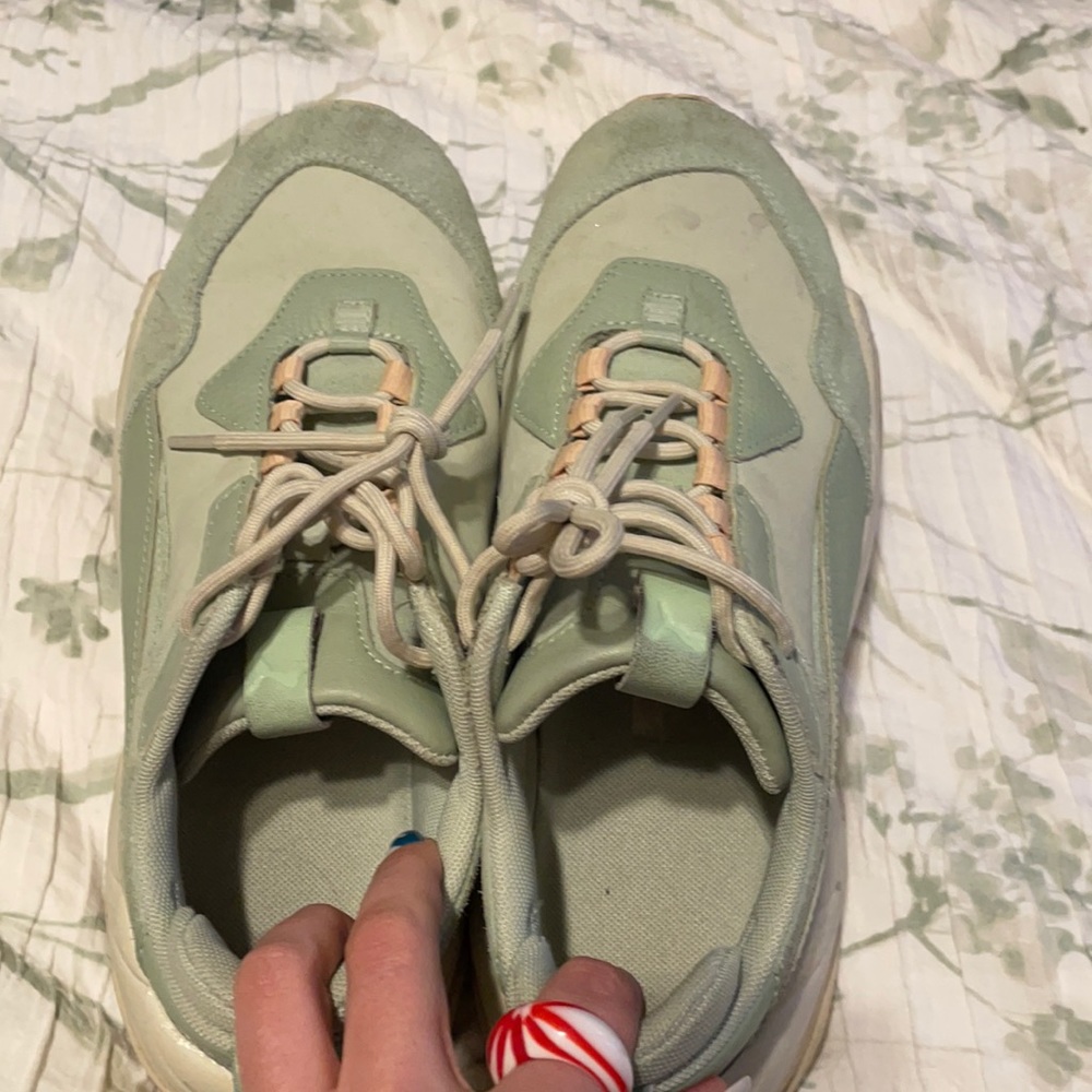 Desert-Sage pumas
